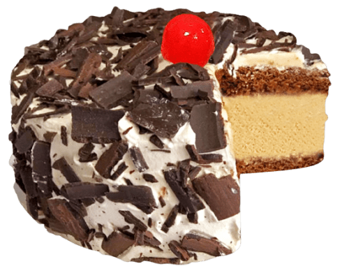 Choco Mocha Ice Cream Cake – 500ml
